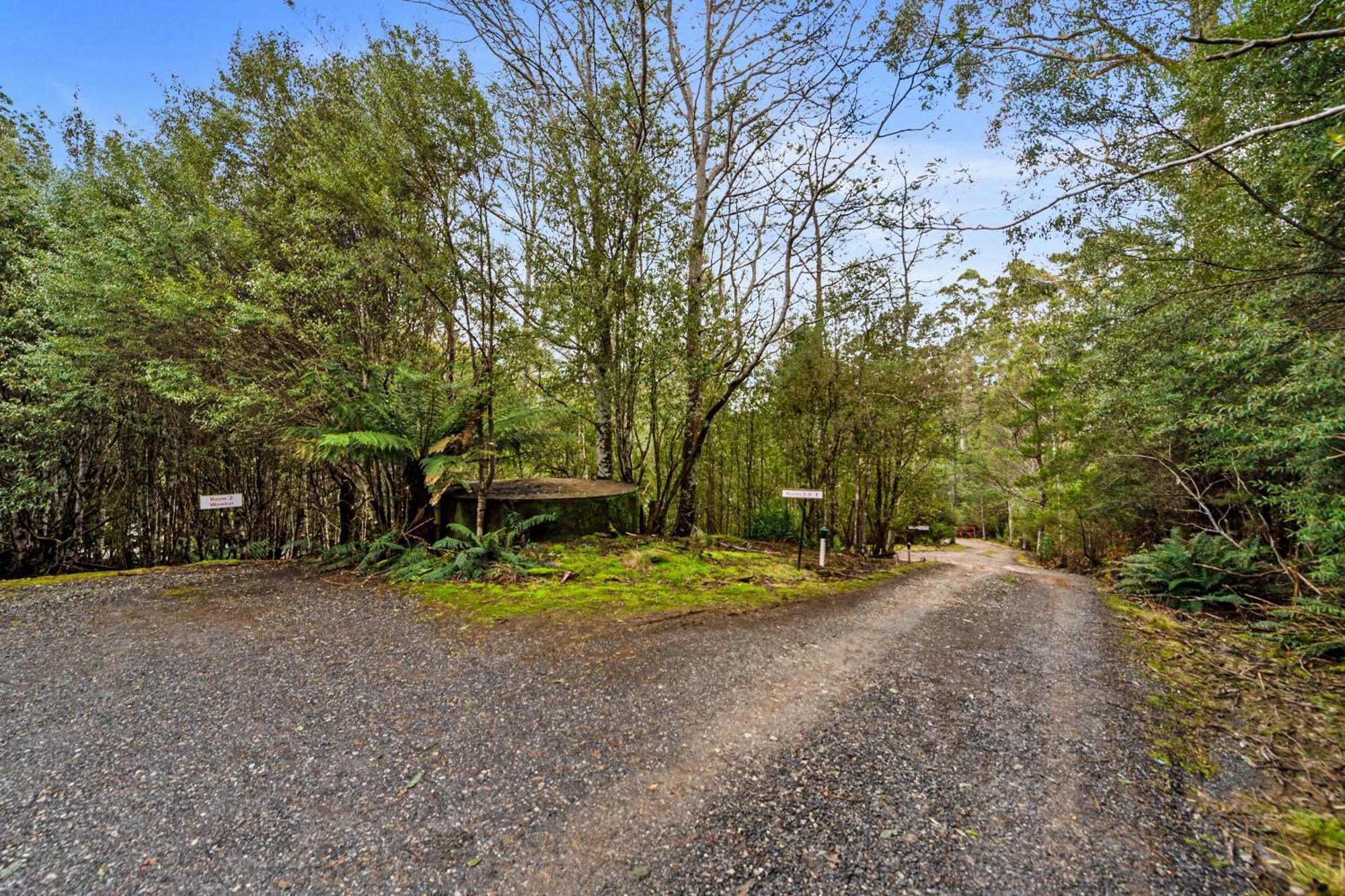 Cradle Forest Inn Moina Exterior foto