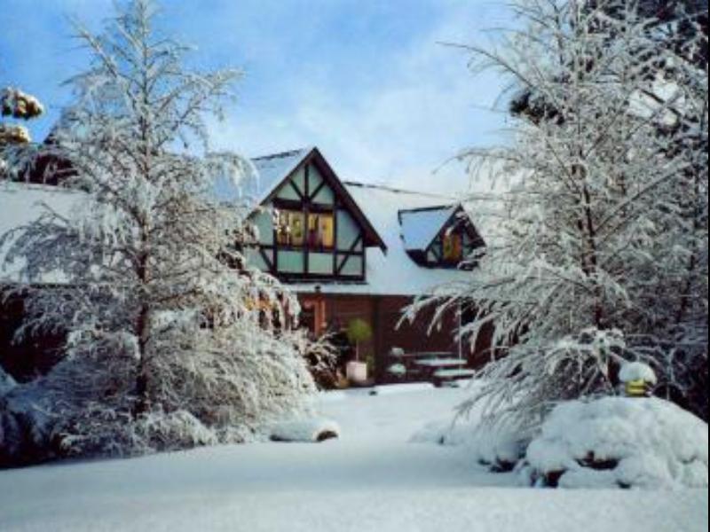 Cradle Forest Inn Moina Exterior foto
